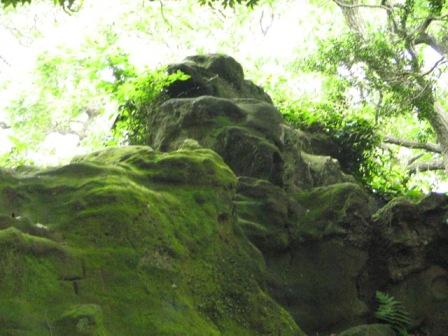 王岩1.JPG