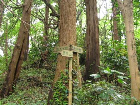 鎌倉ハイキング9.JPG