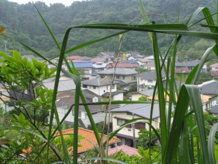 鎌倉湖6.JPG