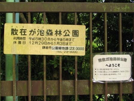 鎌倉散在が池.JPG