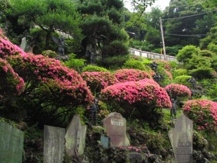 鎌倉市建長寺7.JPG