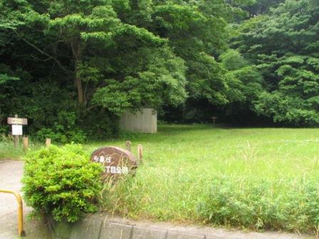鎌倉市今泉台6.JPG