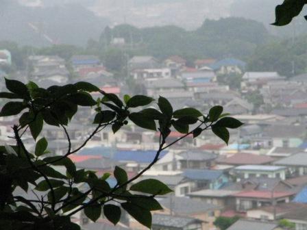 鎌倉市百八やぐら5.JPG