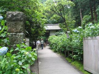 鎌倉明月院入り口.JPG