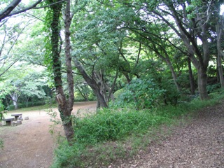 江ノ島片瀬山公園.JPG