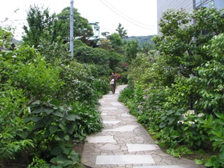 大巧寺中.JPG