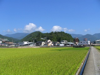 本宮の森.JPG