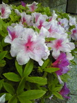 20110507Image001.jpg