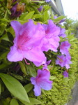 20110507Image002.jpg