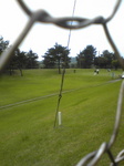 20110507Image004.jpg