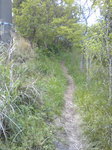 Image00620110507.jpg
