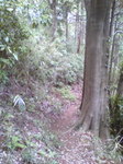 Image01320110507.jpg